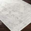 Amelie Grey/Off-White Rug-1736868844