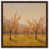 Walnut Frame