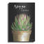 «You Are Love Cactus» par Cindy Jac