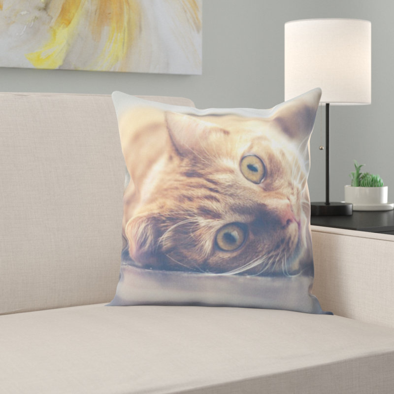 Coussin pour chat