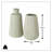 Cambriah Table Vase - Set of 2