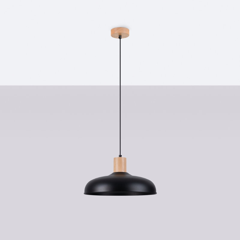 1 - Light Stainless Steel Pendant, Black