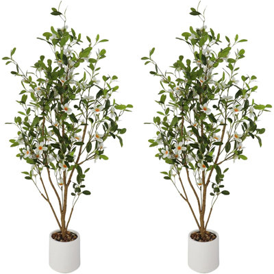 120cm Plant