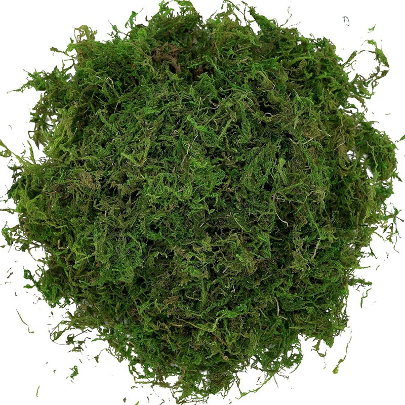 Artificial Moss, 16OZ Fake Moss For Crafts, Decorative Centerpie...