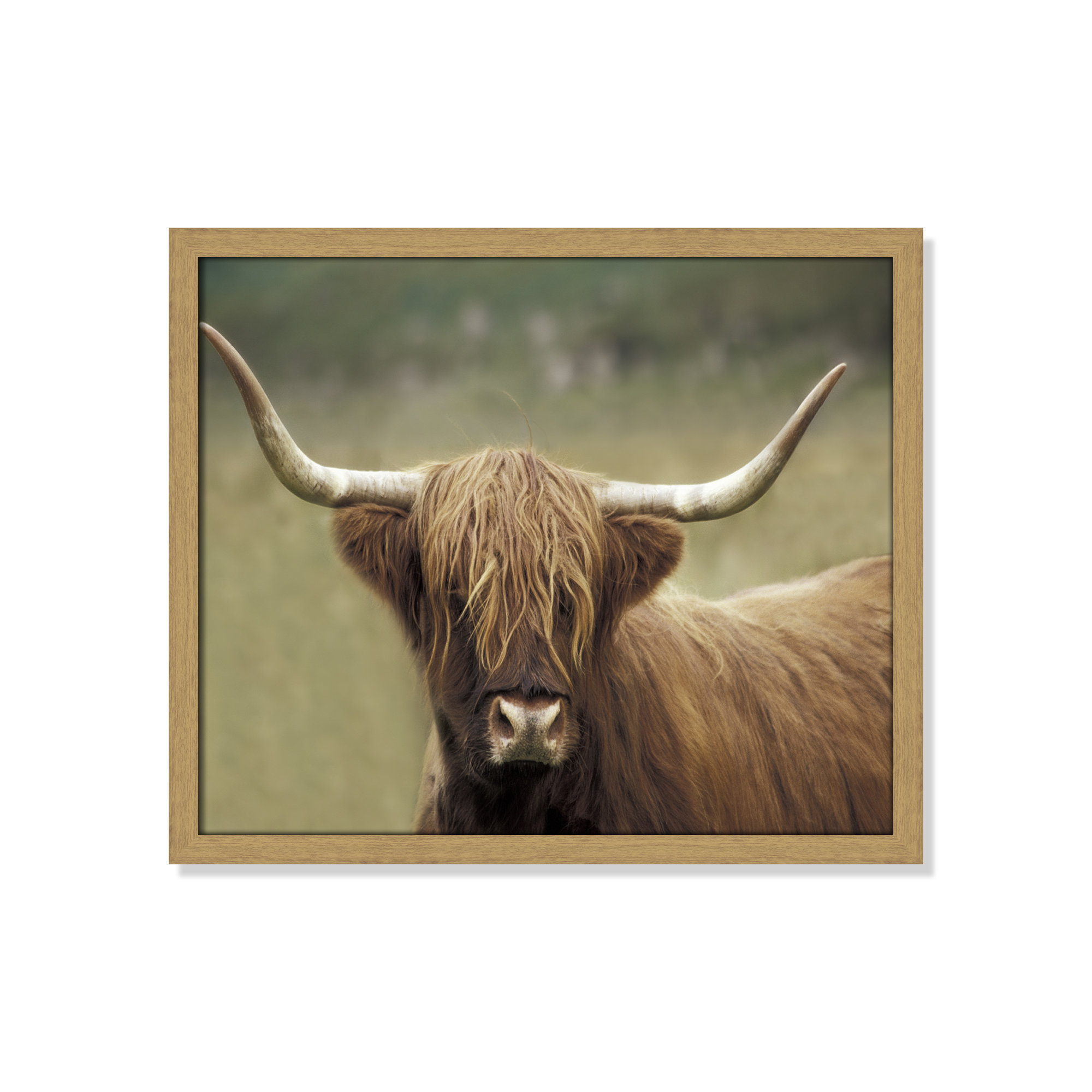 Highland Afternoon by Danita Delimont - Picture Frame Photograph, 16" H x 19" W x 0.75" D, Natural Wood Grain Framed