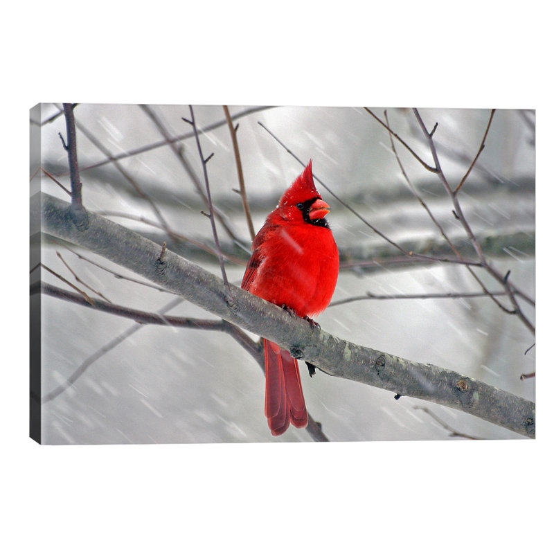 Wrapped Canvas Print, 101.6 cm H x 66.04 cm W x 3.175 cm D