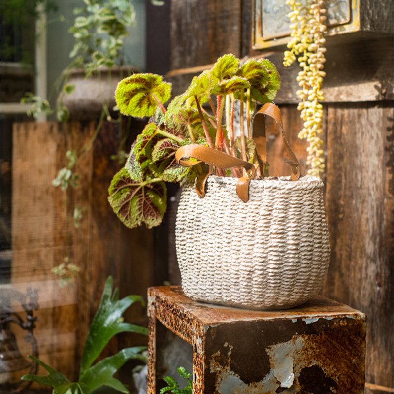 Pot Planter