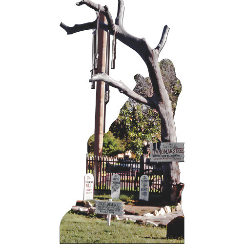 Arbre suspendu H13728 Dodge City Kansas