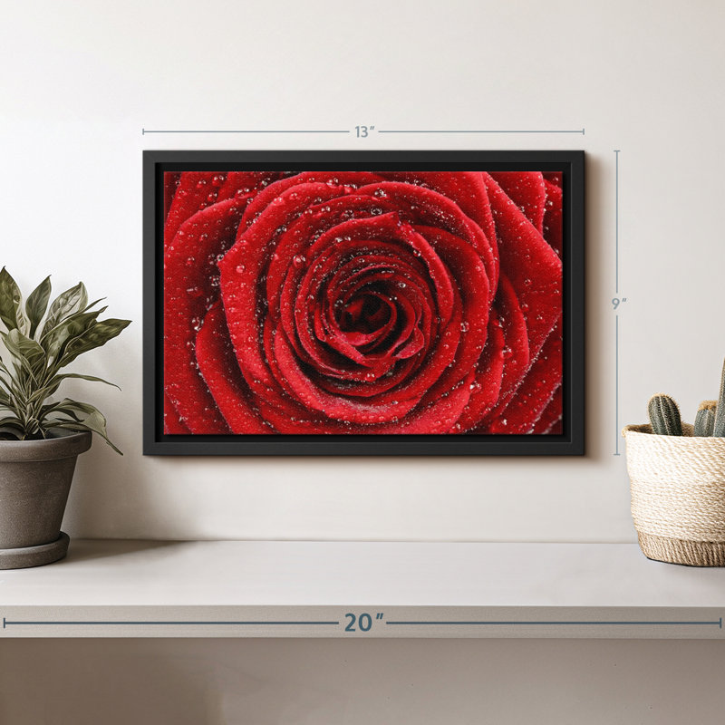 Floral et botanique «Rose rouge humide», art mural, H 9 po x l 13 po