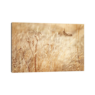 Rabbit in the Grass 1 Piece Wrapped Canvas Wall Art
