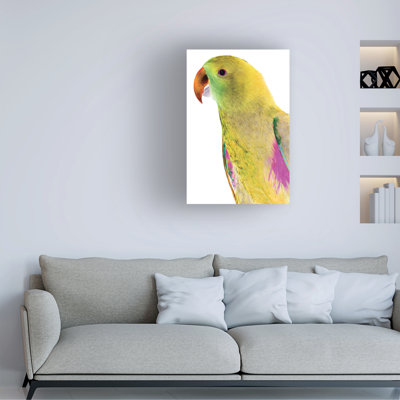 Polly par Clint