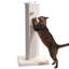 Grattoir pour chat très haut Morden-635085451