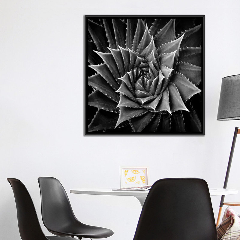 « succulent i », impression sur toile, H 18 po x l 18 po x P 1,5 po, Toile avec cadre noir, Blanc