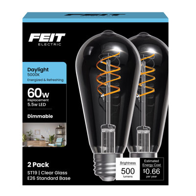 Ampoule DEL Feit ST19 E26 (moyenne) à filament 60 W, équivalente à 60 watts