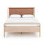 Rosedale Upholstered Bed-1961837314-1989204050