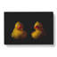 Yellow Rubber Ducks - Wrapped Canvas-64020199