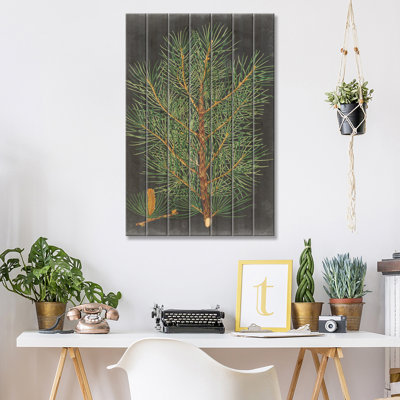 " Dramatic Pine II "