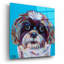 «Shih Tzu On Blue» par Carolee Vitaletti, art mural en verre acrylique-1139698213