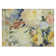 Machine Washable Indoor/Outdoor Houtz ACN2264 Floral Rug