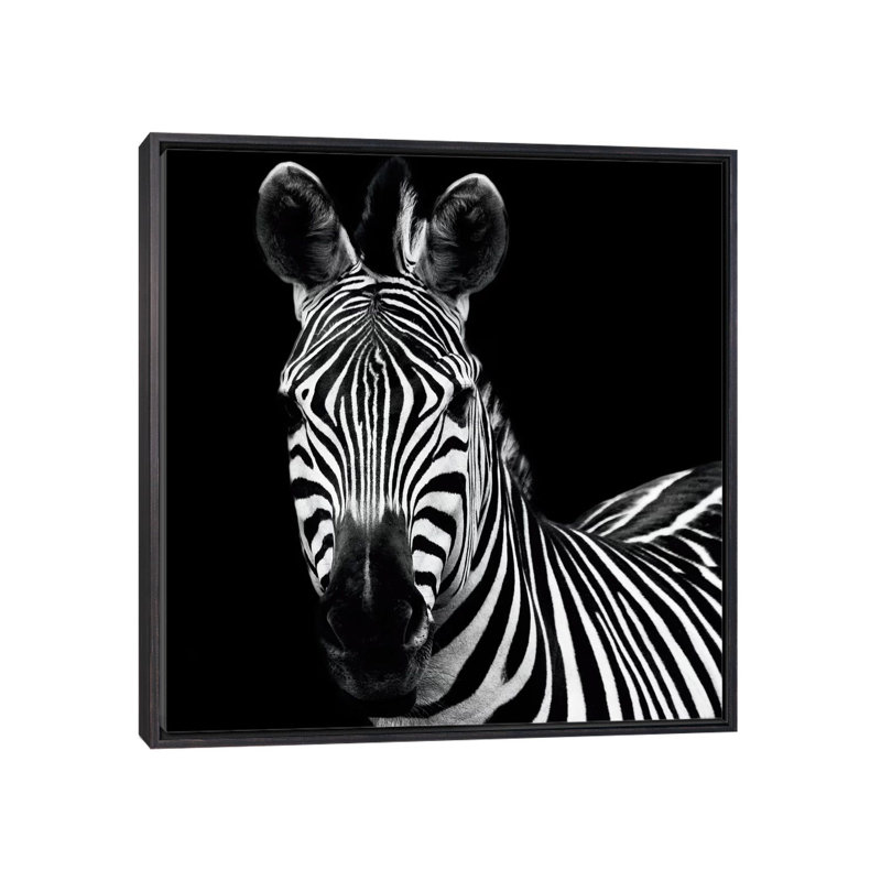 Zèbre II par Debra Van Swearingen - reproduction de photo, H 18 po x l 18 po x 1,5 po, Toile avec cadre noir patiné