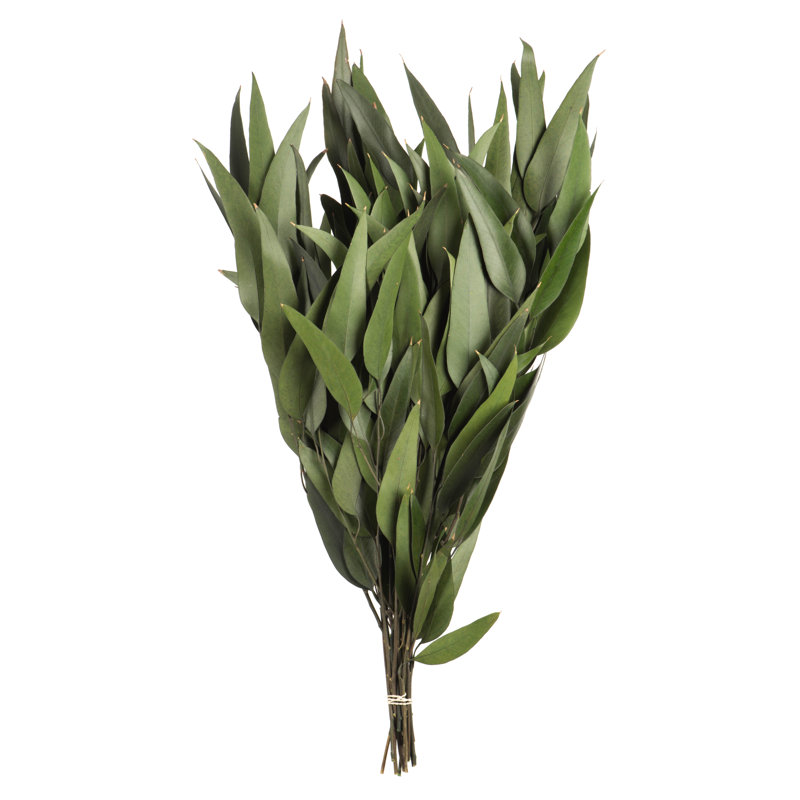 18" Green Eucalyptus Weeping Willow Topiary Centerpiece