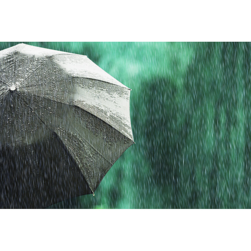 Black Umbrella - Photographie sur toile tendue, H 8 po x l 12 po
