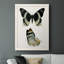 «Engelman Antique Blue Butterflies I», reproduction d'art sur toile-88378582-88378581