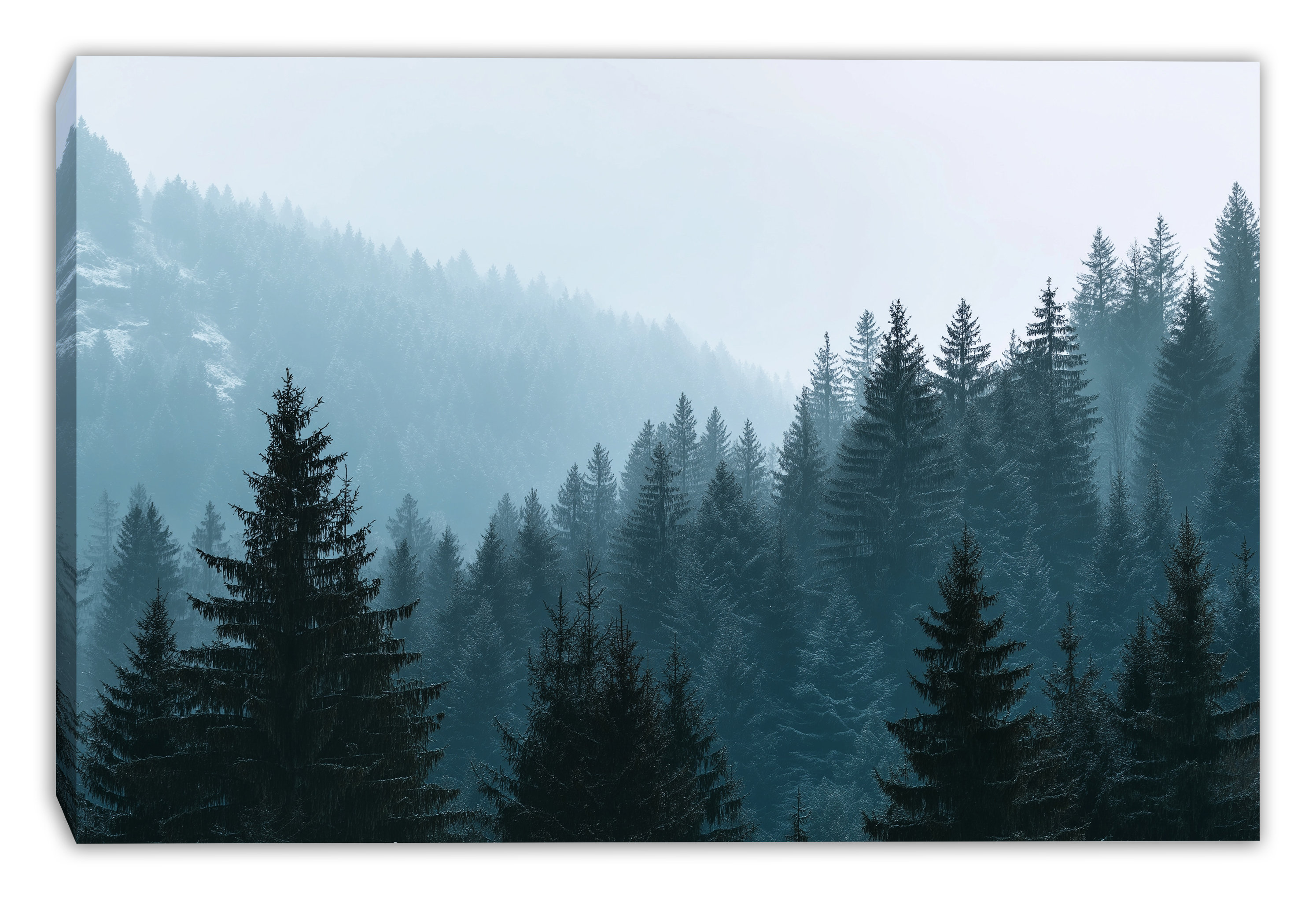 Foundry Select Misty Evergreen Hills Wrapped Canvas Wall Art | Wayfair