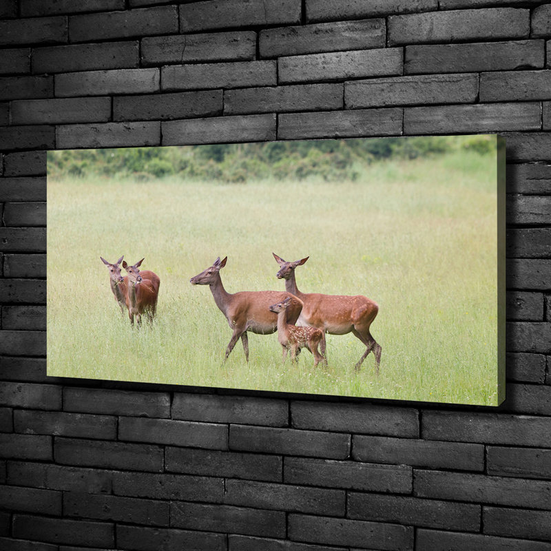 Roe With Young - Wrapped Canvas Print