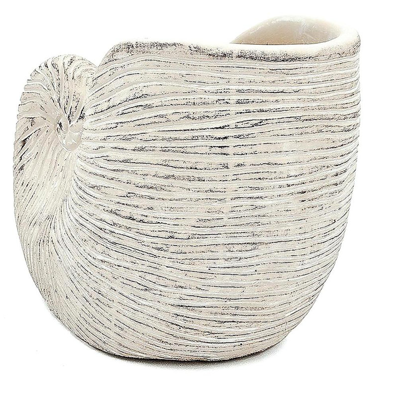 8.5x5.5x6.3" Sand and Cement Nautilus Shell Planter with Textured Beige Finish