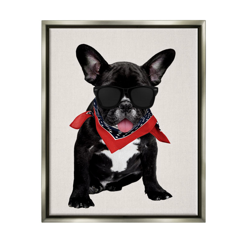 «Cool Dude French Bulldog Pet», impression, H 21 po x l 17 po x P 1,7 po, Cadre flottant gris lustré