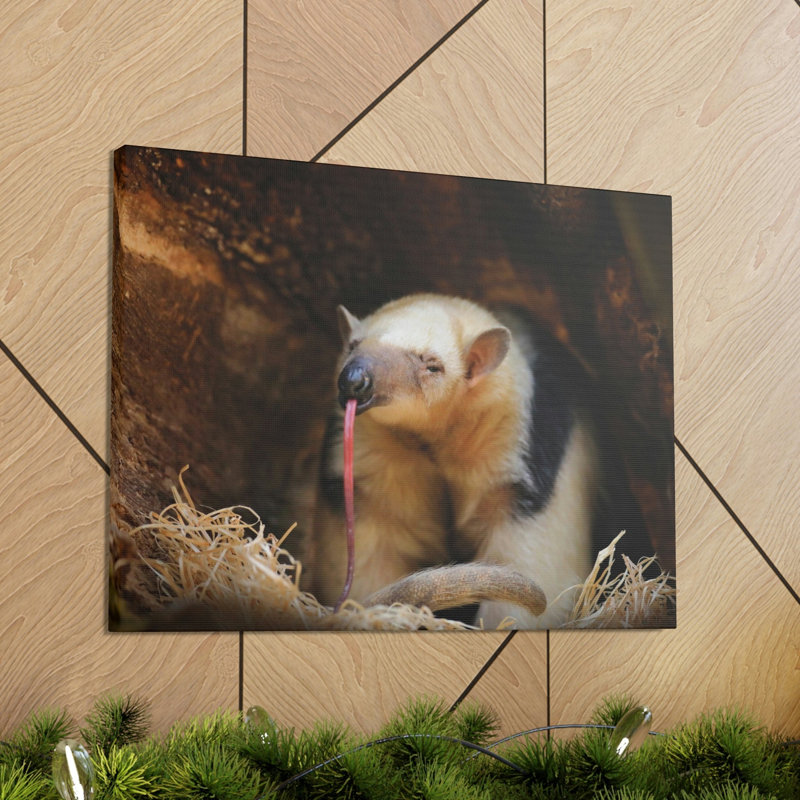 No Frame Print on Canvas