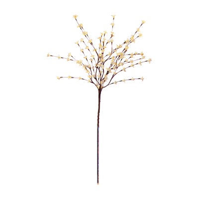Jet forsythia