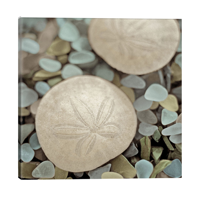 Aquatic 2 by Alan Blaustein - Wrapped Canvas Print, 45.72 cm H x 45.72 cm W x 1.91 cm D