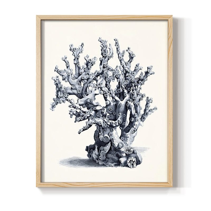 Bleu antique Coral II, reproduction encadrée - bois massif, H 11 po x l 9 po