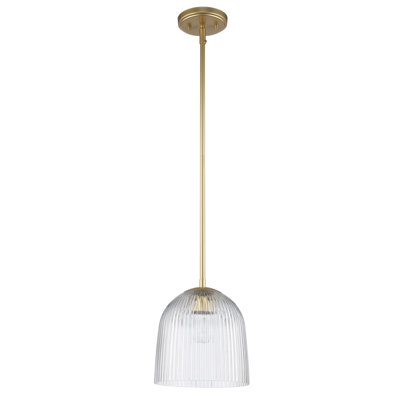 Luminaire suspendu simple à 1 lumière Jehoras