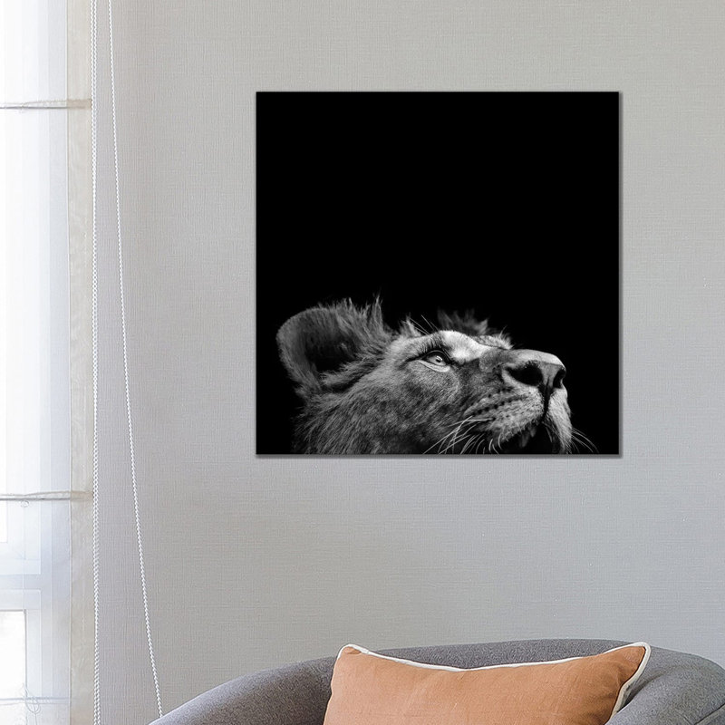 Lion In Black And White II by Lukas Holas - Wrapped Canvas Print, 66.04cm H x 66.04cm W x 1.905cm D