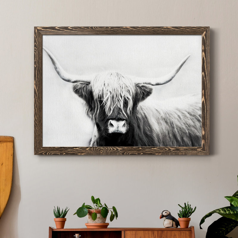 Highland Longhorn - Cadre flottant, reproduction de photo sur toile, Toile avec cadre en noyer, H 31 po x l 44 po x P 1 po