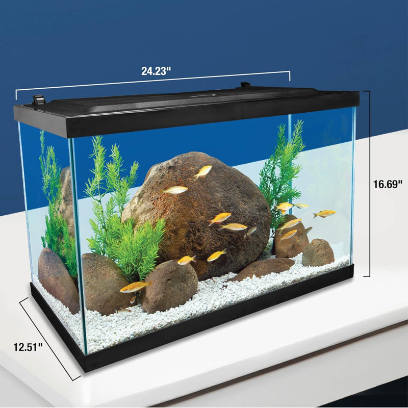 Aquarium, 20 gallons, ensemble complet d'aquarium tropical avec éclairage DEL et décor pour poissons d'eau douce