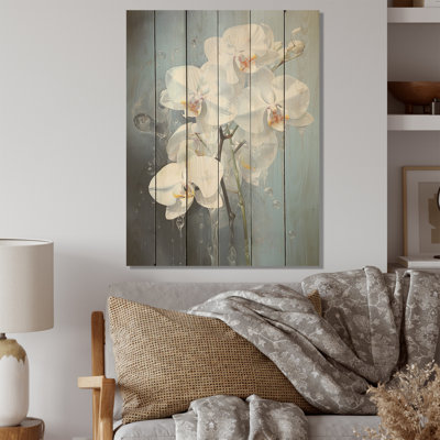 Orchidée bleue et blanche - Orchidées sur bois de pin naturel
