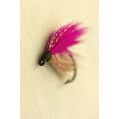 Macro Lure I by Judy Stalus - Wrapped Canvas Print