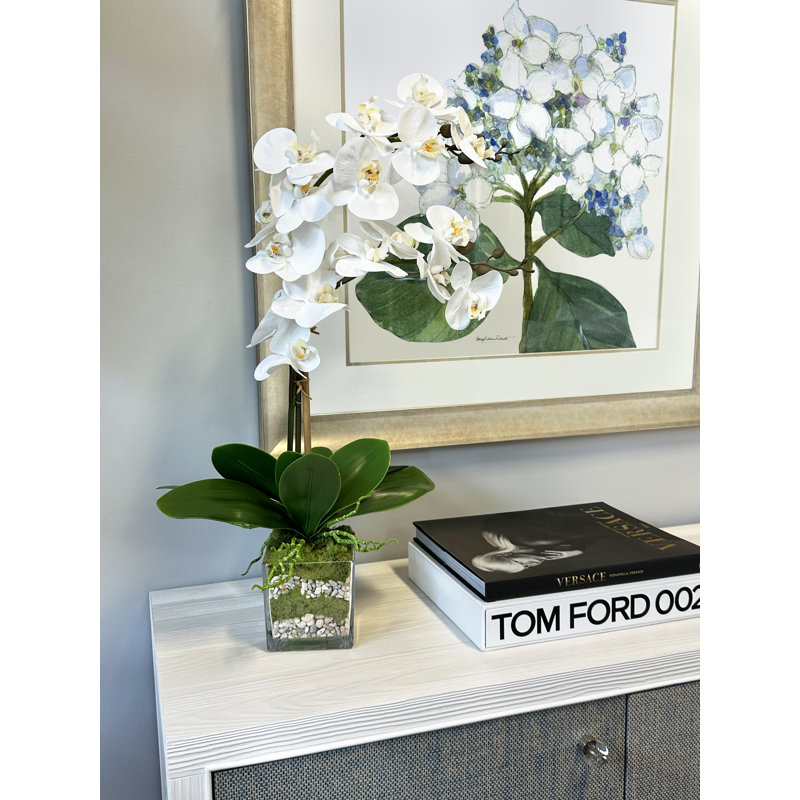 Phalaenopsis In Glass Vase With Moss & Rock