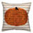 Coussin d’automne enlevant-24136000