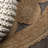 Cassia Round Natural Jute Boho Circle Natural Rug-456147388