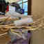 Customer photo 2 of 4
