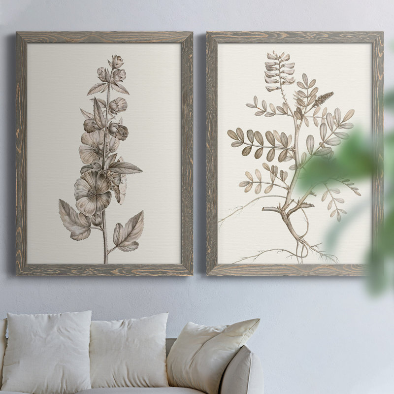 «Neutral Botanical Study», reproduction encadrée prête à être accrochée, H 43,5 po x l 31,5 po x P 1 po, Pas de tapis