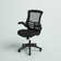 Jayetta Mid-Back Mesh Swivel Ergonomic Office Chair with Flip-Up Arms