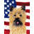 Beige Cairn Terrier