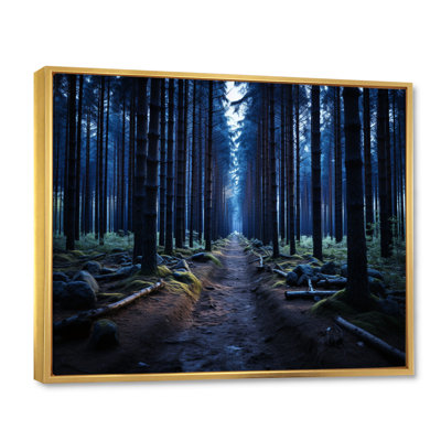 Sentier bleu de la forêt - Impression