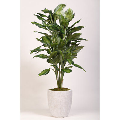 56'' Faux Foliage Plant in Fibreglass Planter